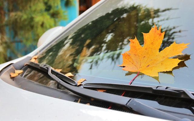 Hogyan védd a szélvédőd az őszi időjárás kihívásaitól?
